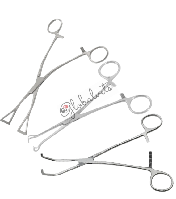 Cardiology Instruments